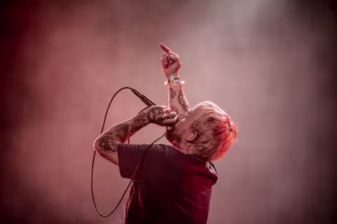Idles (@ Lowlands 2024)